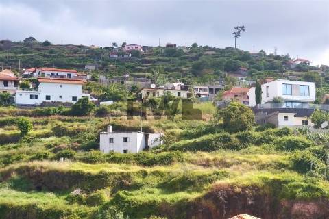 Terreno  Venda em Santa Cruz,Santa Cruz