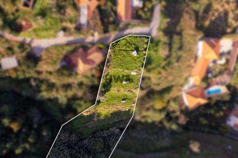 Lote de Terreno  Venda em Gaula,Santa Cruz