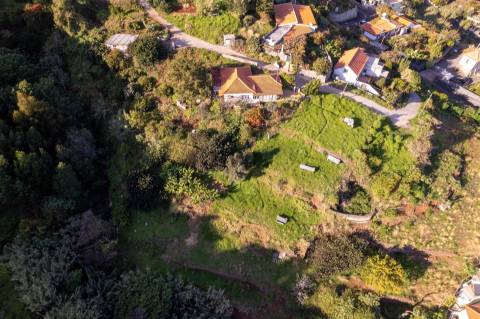 Lote de Terreno  Venda em Gaula,Santa Cruz