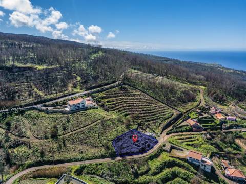 Terreno Para Construção  Venda em Seixal,Porto Moniz