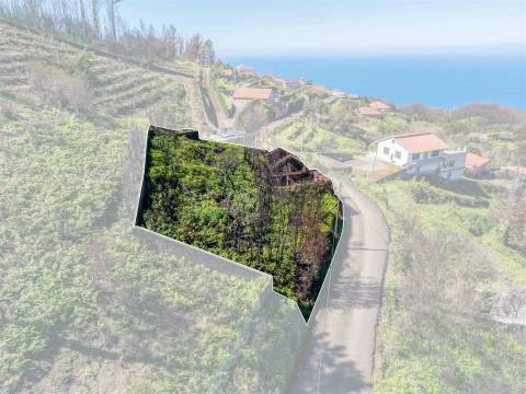 Terreno Para Construção  Venda em Seixal,Porto Moniz