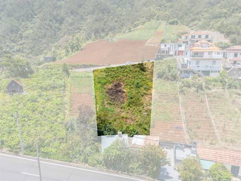 Lote de Terreno  Venda em Faial,Santana