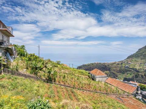 Lote de Terreno  Venda em Faial,Santana