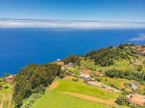 Lote de Terreno  Venda em São Jorge,Santana
