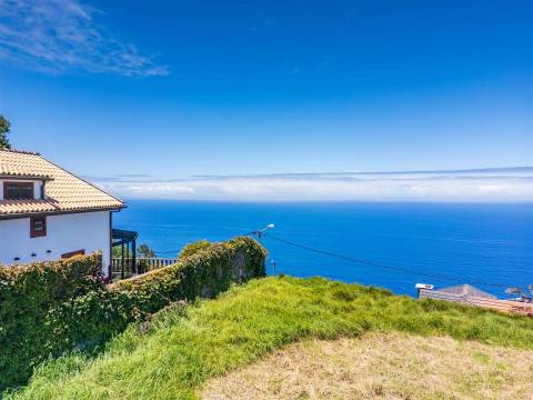 Lote de Terreno  Venda em São Jorge,Santana