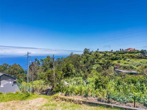 Lote de Terreno  Venda em São Jorge,Santana