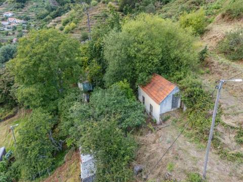 Moradia T2 Venda em Camacha,Santa Cruz