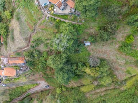 Moradia T2 Venda em Camacha,Santa Cruz