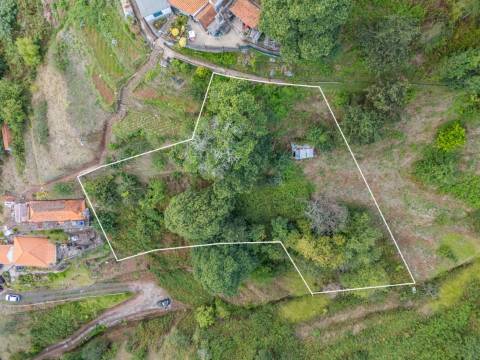 Moradia T2 Venda em Camacha,Santa Cruz