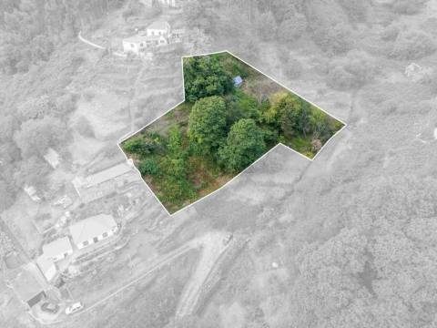 Moradia T2 Venda em Camacha,Santa Cruz