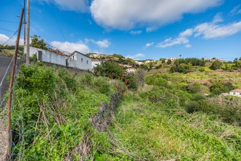 Lote de Terreno  Venda em Gaula,Santa Cruz