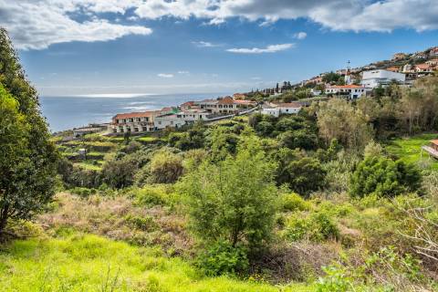 Lote de Terreno  Venda em Gaula,Santa Cruz