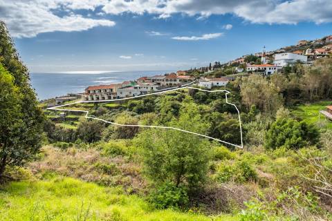 Lote de Terreno  Venda em Gaula,Santa Cruz