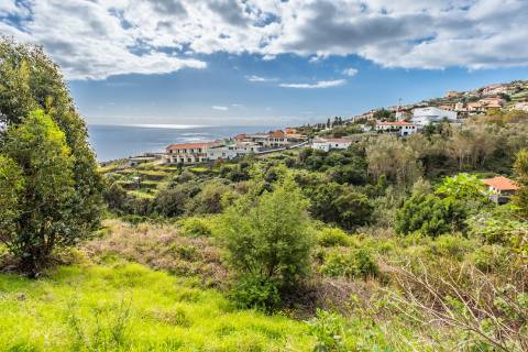 Lote de Terreno  Venda em Gaula,Santa Cruz