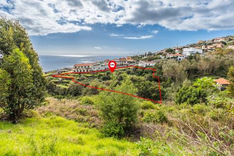 Lote de Terreno  Venda em Gaula,Santa Cruz