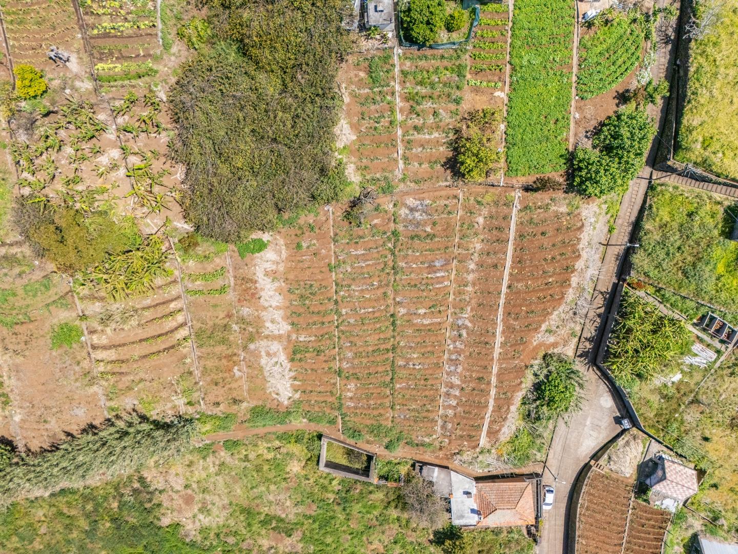 Terreno  Venda em Ponta do Sol,Ponta do Sol