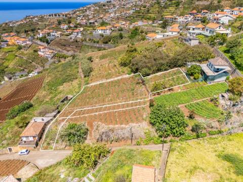 Terreno  Venda em Ponta do Sol,Ponta do Sol
