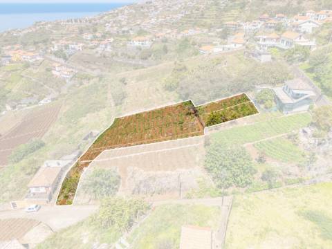 Terreno  Venda em Ponta do Sol,Ponta do Sol