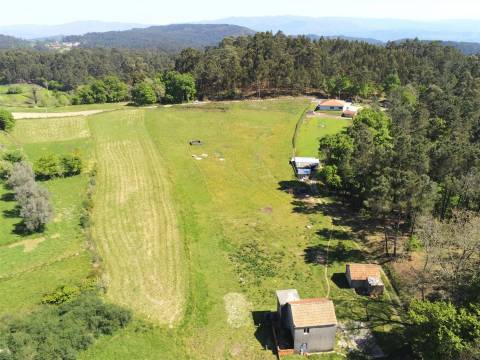 Terreno Misto  Venda em Borba de Montanha,Celorico de Basto