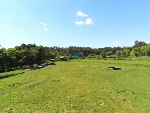 Moradia para Restaurar T3 Venda em Borba de Montanha,Celorico de Basto