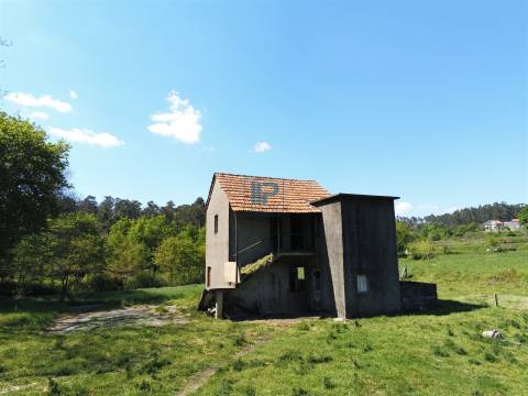 Moradia para Restaurar T3 Venda em Borba de Montanha,Celorico de Basto