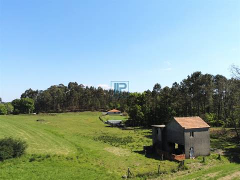 Moradia para Restaurar T3 Venda em Borba de Montanha,Celorico de Basto