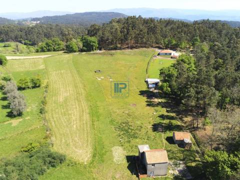 Moradia para Restaurar T3 Venda em Borba de Montanha,Celorico de Basto