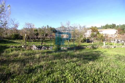 Quinta T3+1 Venda em Penhalonga e Paços de Gaiolo,Marco de Canaveses