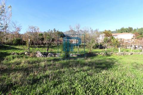 Quinta T3+1 Venda em Penhalonga e Paços de Gaiolo,Marco de Canaveses