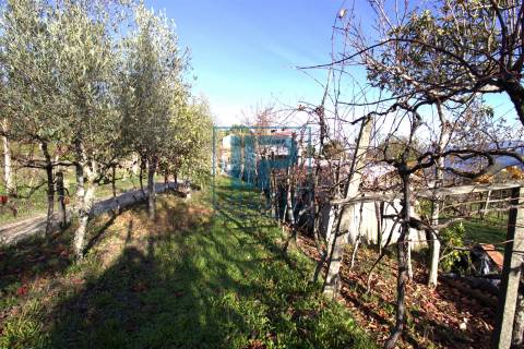 Quinta T3+1 Venda em Penhalonga e Paços de Gaiolo,Marco de Canaveses