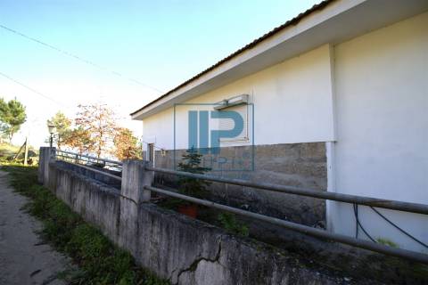 Quinta T3+1 Venda em Penhalonga e Paços de Gaiolo,Marco de Canaveses