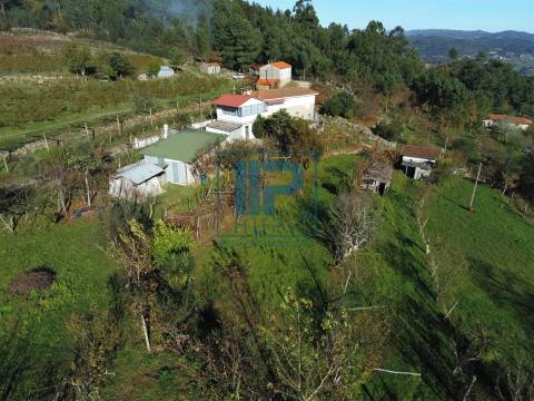 Quinta T3+1 Venda em Penhalonga e Paços de Gaiolo,Marco de Canaveses
