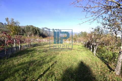 Moradia T3+1 Venda em Penhalonga e Paços de Gaiolo,Marco de Canaveses