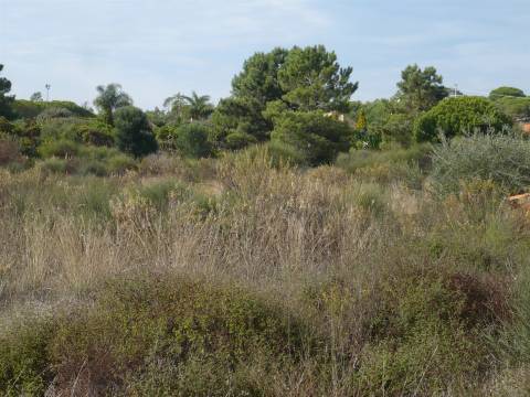 Terreno Rústico  Venda em Almancil,Loulé