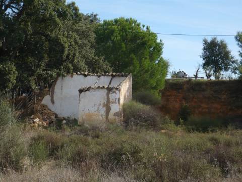 Terreno Rústico  Venda em Almancil,Loulé