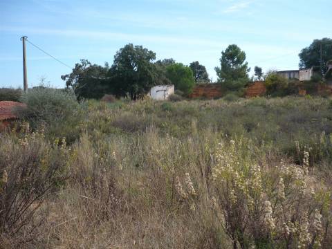 Terreno Rústico  Venda em Almancil,Loulé
