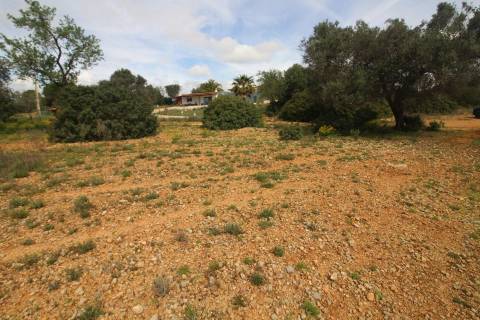 Terreno Rústico  Venda em Santa Bárbara de Nexe,Faro