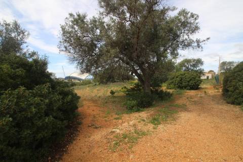 Terreno Rústico  Venda em Santa Bárbara de Nexe,Faro