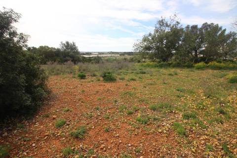 Terreno Rústico  Venda em Santa Bárbara de Nexe,Faro