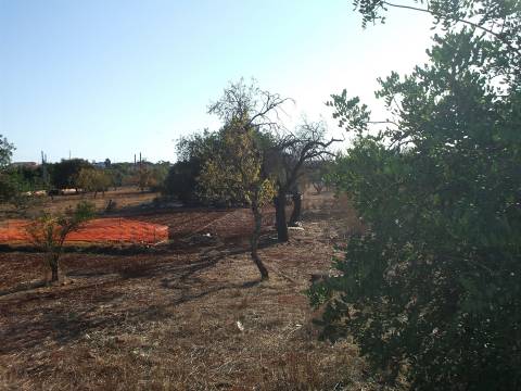 Terreno Rústico  Venda em Loulé (São Sebastião),Loulé