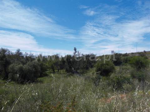 Loteamento  Venda em Quarteira,Loulé