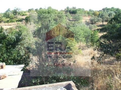 Terreno Misto  Venda em Boliqueime,Loulé
