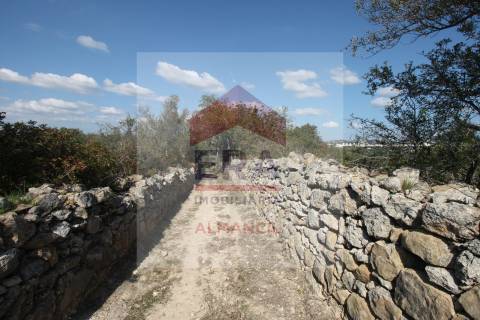 Moradia Devoluta T3 Venda em Loulé (São Clemente),Loulé