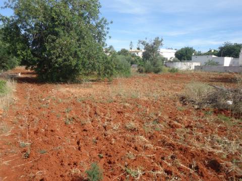 Terreno Para Construção  Venda em Loulé (São Sebastião),Loulé