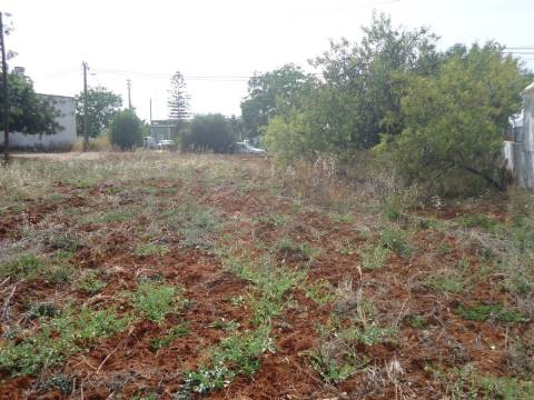 Terreno Para Construção  Venda em Loulé (São Sebastião),Loulé
