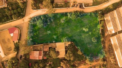 Terreno Para Construção  Venda em Santa Bárbara de Nexe,Faro