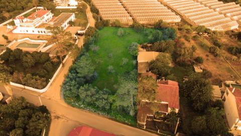 Terreno Para Construção  Venda em Santa Bárbara de Nexe,Faro