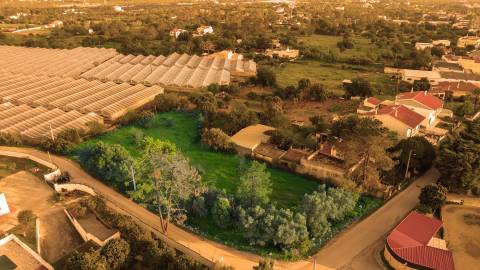 Terreno Para Construção  Venda em Santa Bárbara de Nexe,Faro