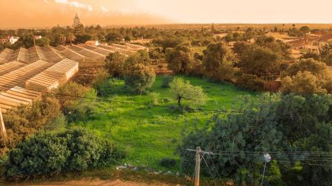 Terreno Para Construção  Venda em Santa Bárbara de Nexe,Faro