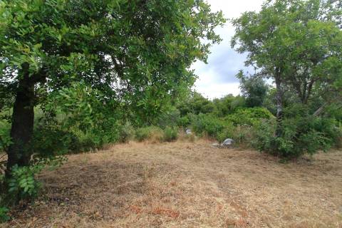 Terreno Misto  Venda em Santa Bárbara de Nexe,Faro